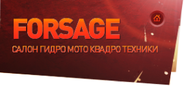 Логотип компании FORSAGE