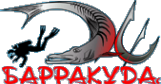 Логотип компании Барракуда