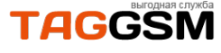 Логотип компании TAGGSM