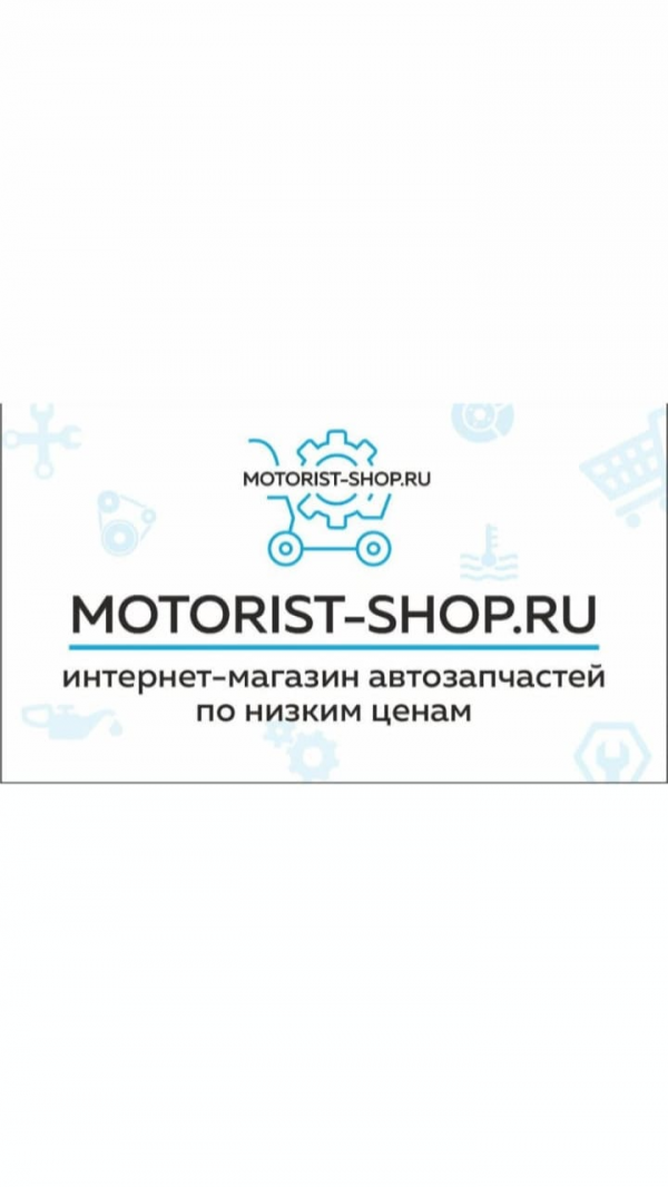 Логотип компании motorist-shop.ru